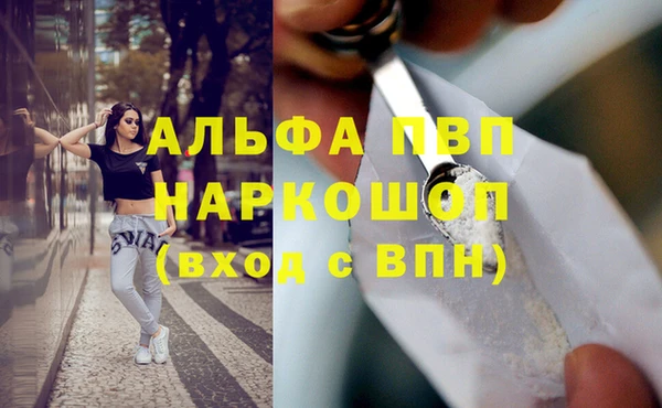 дживик Белокуриха