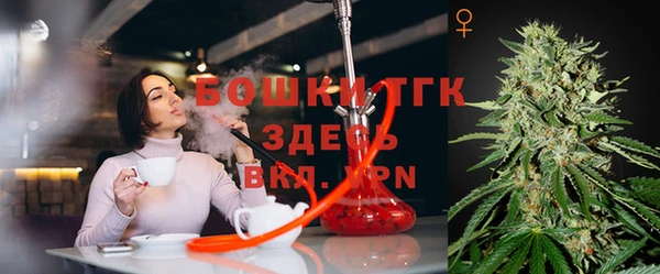 дживик Белокуриха