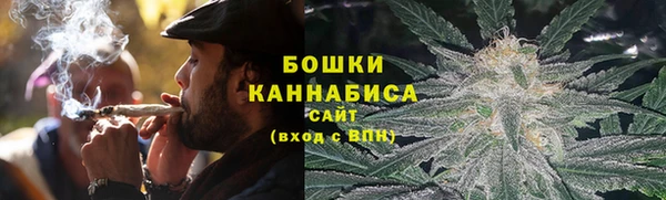 дживик Белокуриха