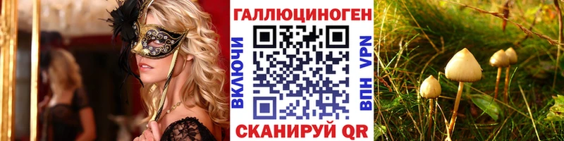 KRAKEN зеркало  где купить   Мглин  Галлюциногенные грибы Magic Shrooms 